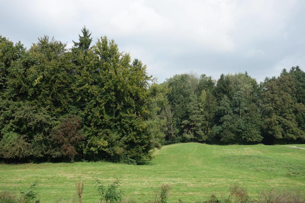 Hotel Frauenfeld Pokoj fotografie